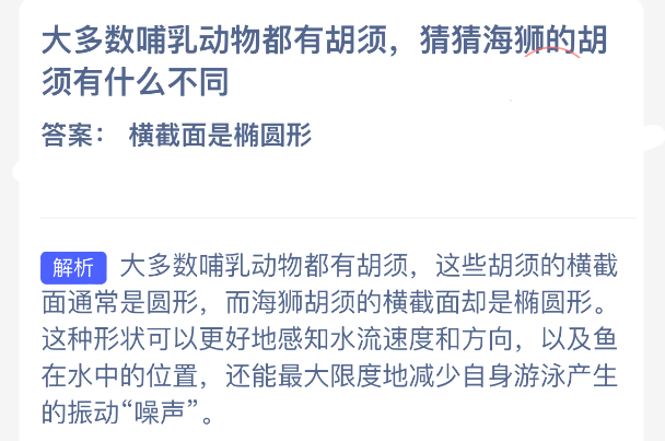 大多数哺乳动物都有胡须猜猜海狮的胡须有什么不同