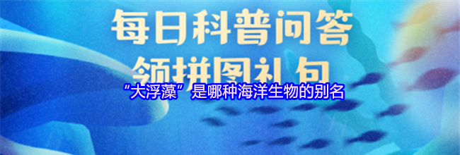 “大浮藻”是哪种海洋生物的别名