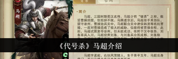 《代号杀》马超介绍
