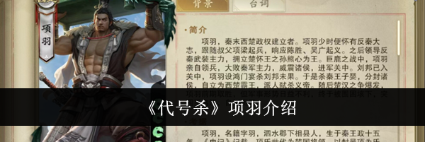 《代号杀》项羽介绍