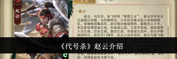 《代号杀》赵云介绍
