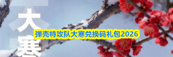 弹壳特攻队大寒兑换码礼包2026