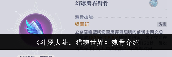 《斗罗大陆：猎魂世界》魂骨介绍
