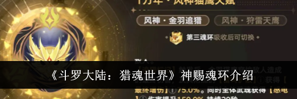 《斗罗大陆：猎魂世界》神赐魂环介绍