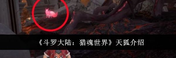 《斗罗大陆：猎魂世界》天狐介绍