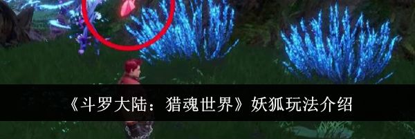 《斗罗大陆：猎魂世界》妖狐玩法介绍