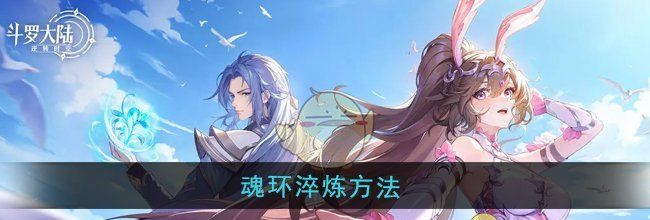 《斗罗大陆：逆转时空》魂环淬炼方法