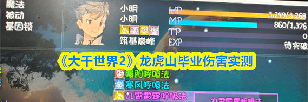 《大千世界2》龙虎山毕业伤害实测