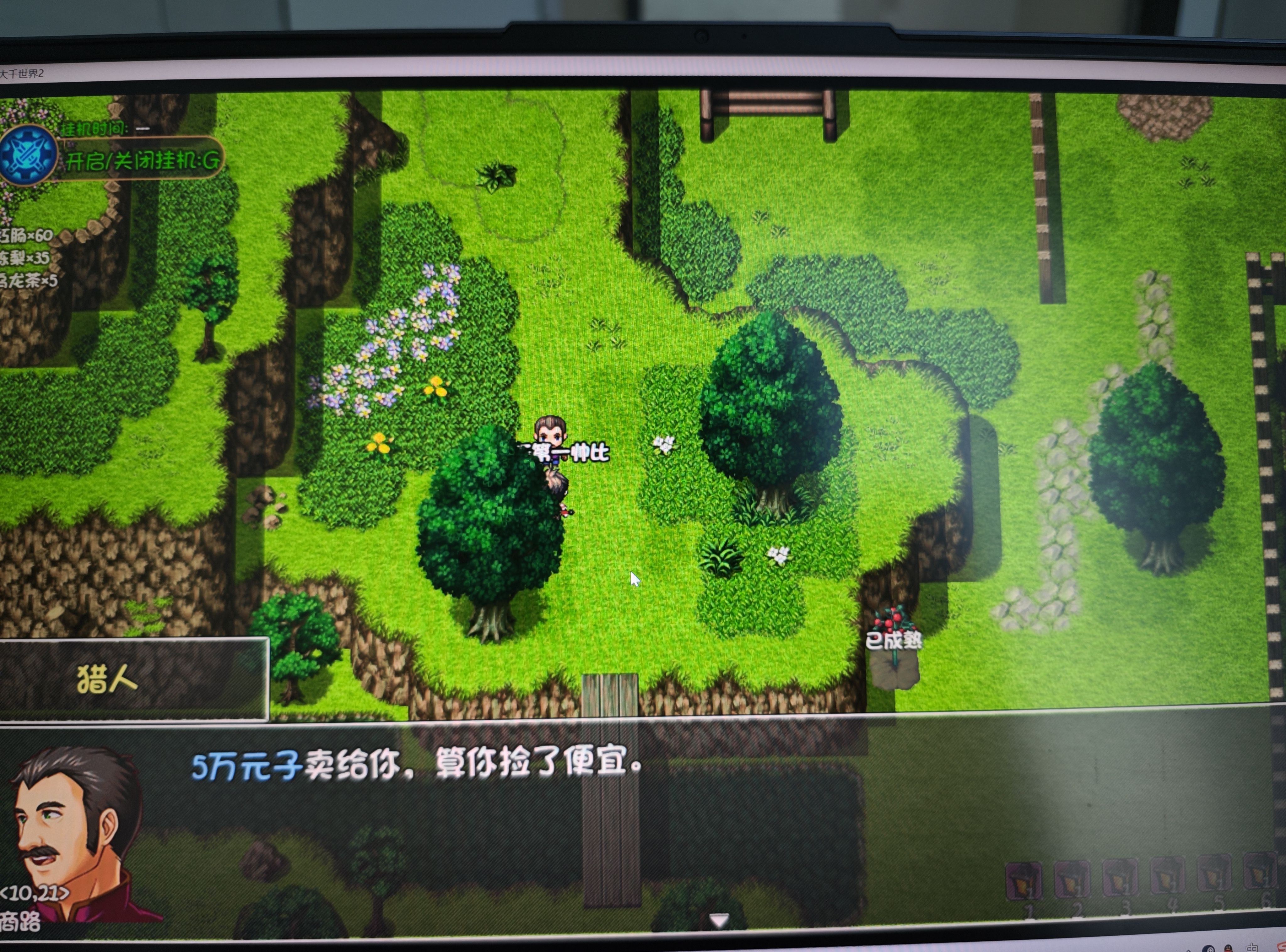 大千世界2玉笛谁家听落梅任务攻略