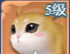 《大唐无双：名将传》伙伴攻略