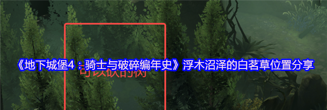 《地下城堡4：骑士与破碎编年史》浮木沼泽的白茗草位置分享