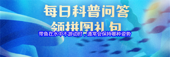 带鱼在水中不游动时，通常会保持哪种姿势