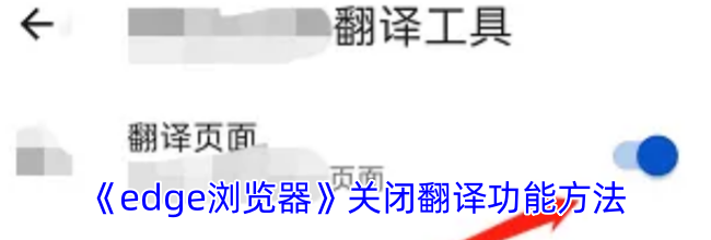 《edge浏览器》关闭翻译功能方法