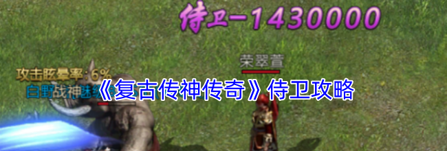 《复古传神传奇》侍卫攻略