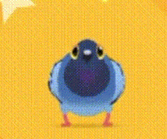 疯狂的鸽子表情包大全