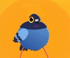 疯狂的鸽子表情包大全