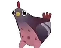 疯狂的鸽子表情包大全