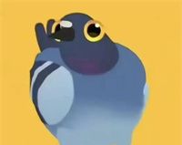 疯狂的鸽子表情包大全