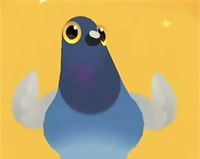 疯狂的鸽子表情包大全