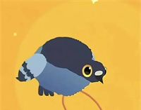 疯狂的鸽子表情包大全