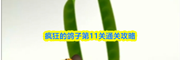 疯狂的鸽子第11关通关攻略