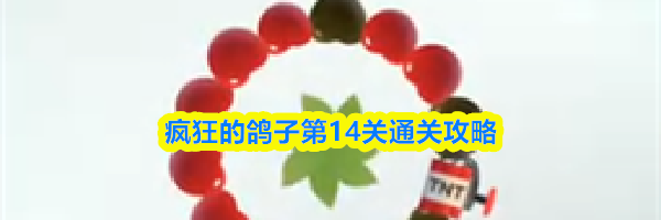 疯狂的鸽子第14关通关攻略