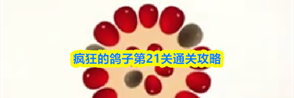 疯狂的鸽子第21关通关攻略