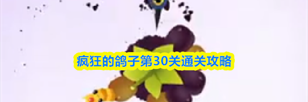 疯狂的鸽子第30关通关攻略