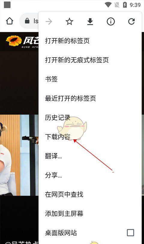 《风芒》下载视频方法