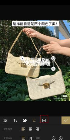 《fotor照片编辑器》添加文字方法