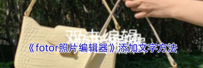 《fotor照片编辑器》添加文字方法