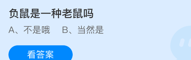 负鼠是一种老鼠吗