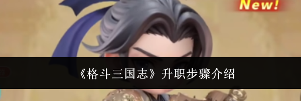 《格斗三国志》升职步骤介绍