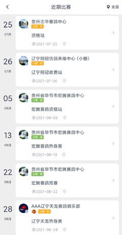《咕咕信鸽》查询成绩方法