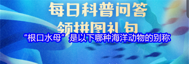 “根口水母”是以下哪种海洋动物的别称