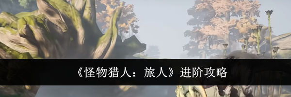 《怪物猎人:旅人》进阶攻略