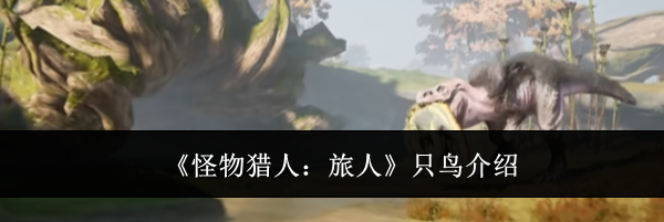 《怪物猎人:旅人》只鸟介绍