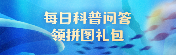 关于东星斑的特点，以下哪一项是正确的