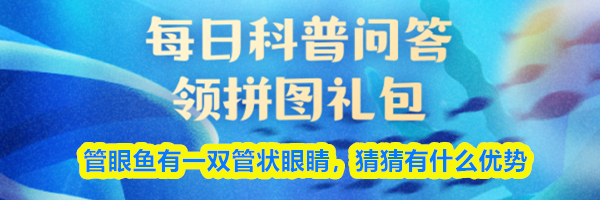 管眼鱼有一双管状眼睛,猜猜有什么优势