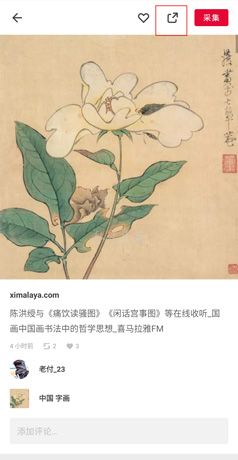 花瓣app图片下载步骤