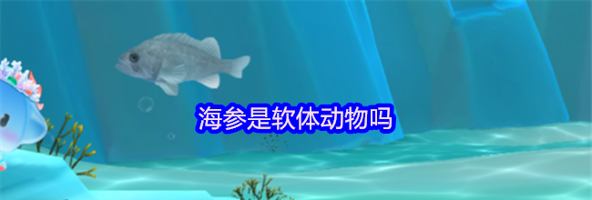 海参是软体动物吗