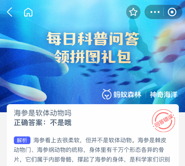 海参是软体动物吗