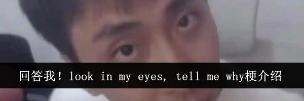 回答我！look in my eyes, tell me why梗介绍
