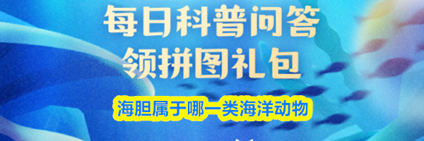 海胆属于哪一类海洋动物