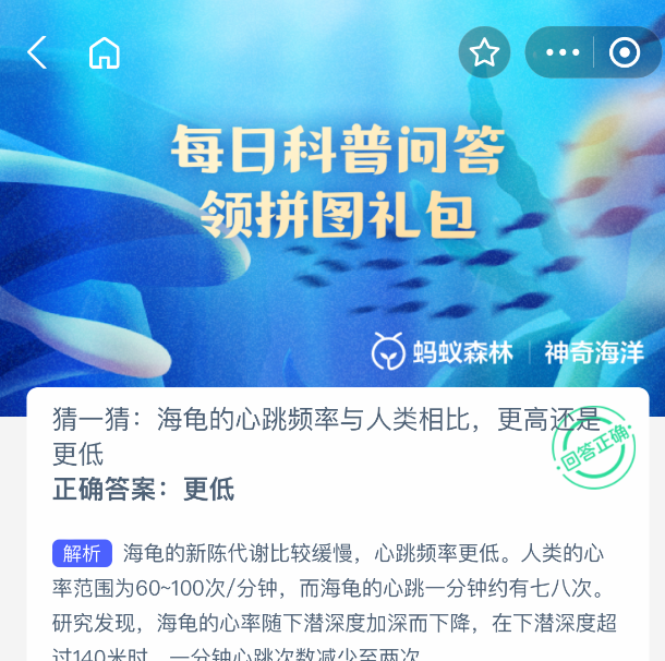 海龟的心跳频率与人类相比，更高还是更低