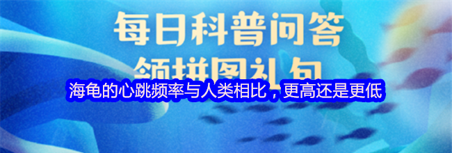 海龟的心跳频率与人类相比，更高还是更低