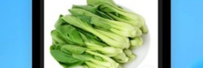 盒马鲜生app支付宝验证入口