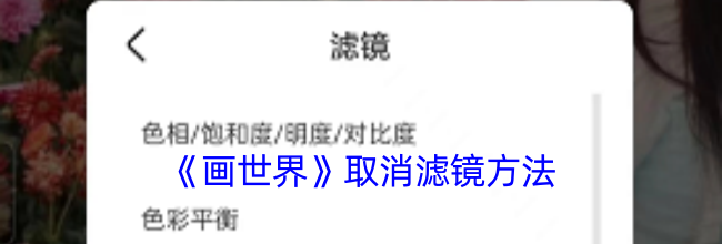 《画世界》取消滤镜方法