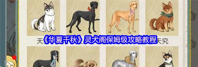 《华夏千秋》灵犬阁保姆级攻略教程