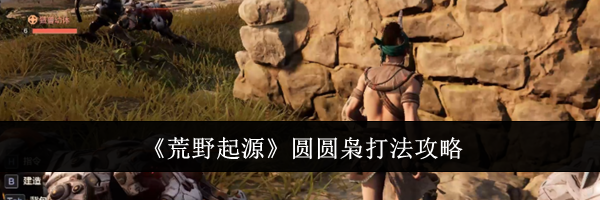 《荒野起源》圆圆枭打法攻略